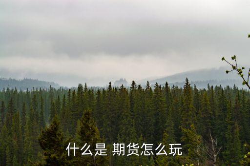 什么是 期貨怎么玩