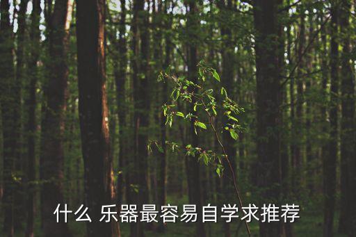 無基礎最易入門樂器,什么樣的樂器比較容易學?