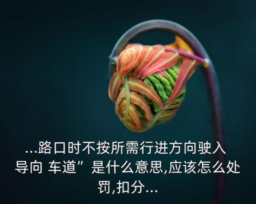 ...路口時不按所需行進方向駛入 導向 車道”是什么意思,應該怎么處罰,扣分...