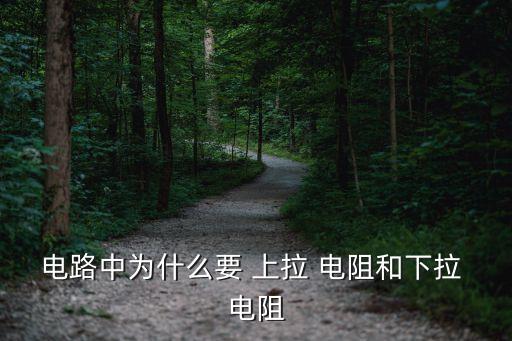 上拉電阻,電路上電不加電阻或下拉電阻會影響信號邊沿