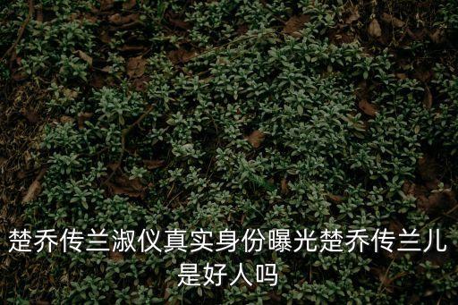 楚喬傳蘭兒，楚喬傳里面演的蘭兒是誰