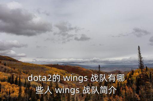 wings戰隊,回顧首屆全國大選戰隊風采