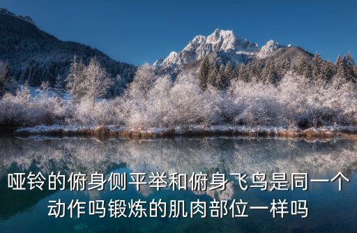 啞鈴的俯身側(cè)平舉和俯身飛鳥是同一個(gè)動(dòng)作嗎鍛煉的肌肉部位一樣嗎