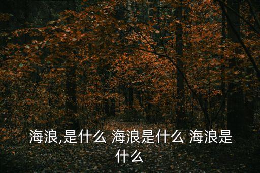  海浪,是什么 海浪是什么 海浪是什么