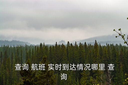 查詢 航班 實(shí)時(shí)到達(dá)情況哪里 查詢