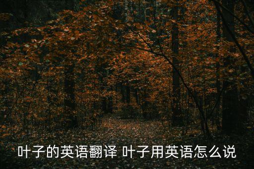 葉子的英語，葉子的英文怎么寫