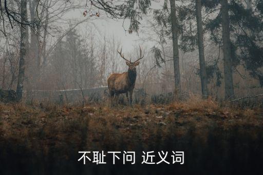 不恥下問 近義詞