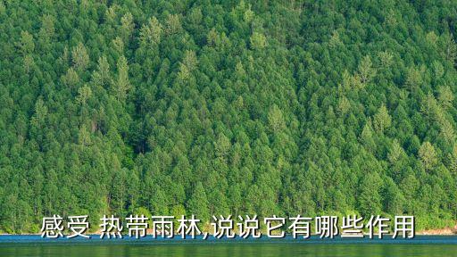 感受 熱帶雨林,說說它有哪些作用