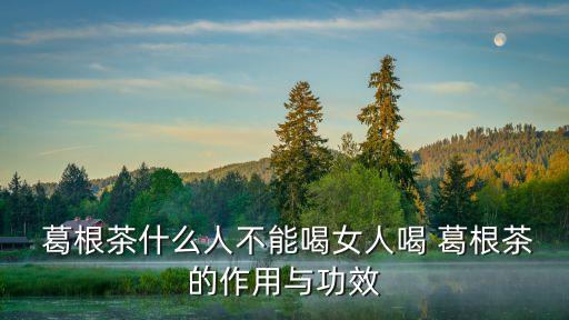 葛根茶的作用與功效,葛根茶對三低血糖患者有助降血糖