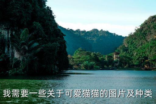 我需要一些關于可愛貓貓的圖片及種類