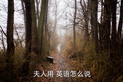  夫人用 英語怎么說
