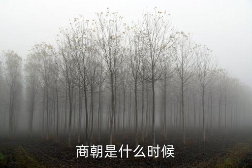 商朝，商朝 西漢 西晉 明朝的第一個皇帝 在線等