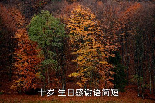 十歲 生日感謝語簡短