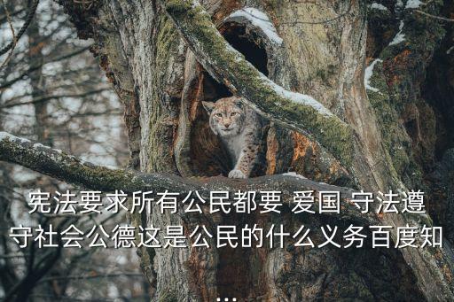 憲法要求所有公民都要 愛國 守法遵守社會公德這是公民的什么義務百度知...