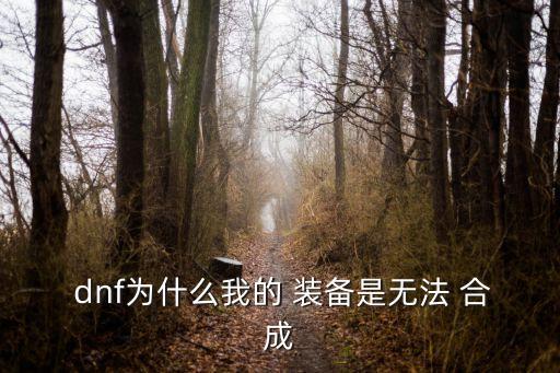  dnf為什么我的 裝備是無法 合成