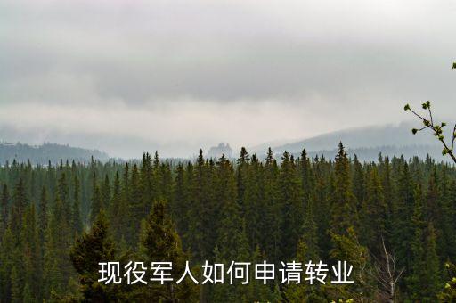 現(xiàn)役軍人如何申請轉(zhuǎn)業(yè)