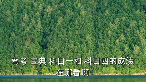 科目四駕考寶典,科目一和科目4各加100題很多同學不及格