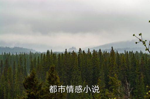 都市情感小說