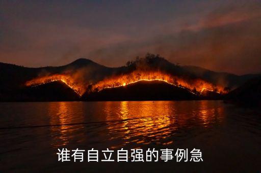 自立自強的事例，誰知道關于名人自立自強的事例啊急用