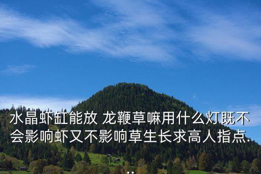 龍鞭草,水晶蝦適應(yīng)酸性水質(zhì)喜歡堿性水生植物不適合飼養(yǎng)