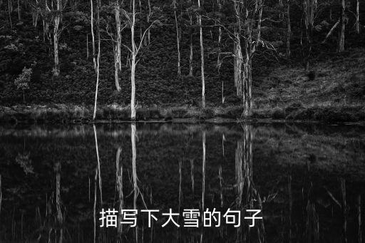 描寫下大雪的句子