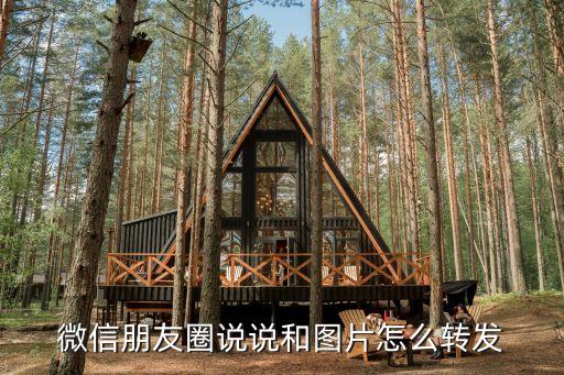微信朋友圈說說和圖片怎么轉發