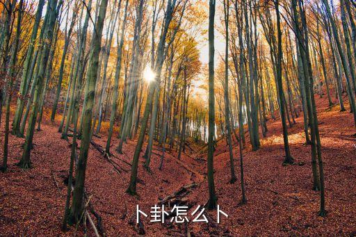 周易卜卦方法,中國算卦發(fā)展歷程如下
