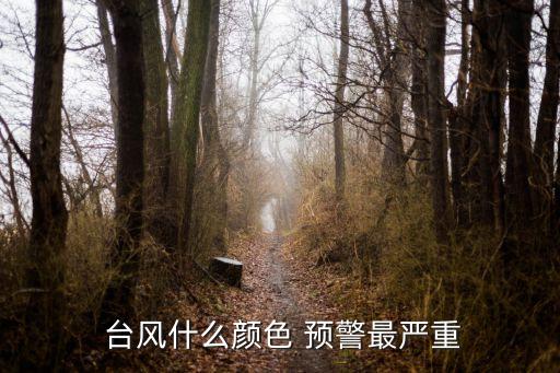  臺(tái)風(fēng)什么顏色 預(yù)警最嚴(yán)重