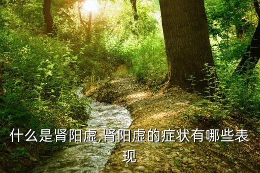 補腎陽,中醫(yī):腎虛可分為腎陰虛和腎陽虛