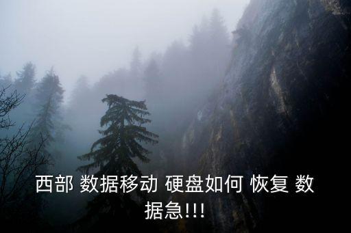西部 數(shù)據(jù)移動 硬盤如何 恢復(fù) 數(shù)據(jù)急!!!