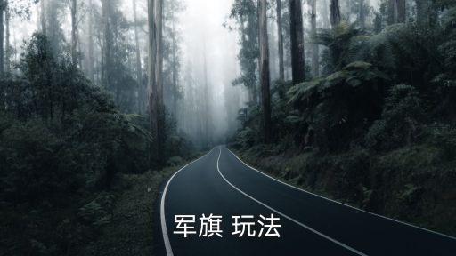 軍棋的玩法,軍棋有一比一和二比二玩法