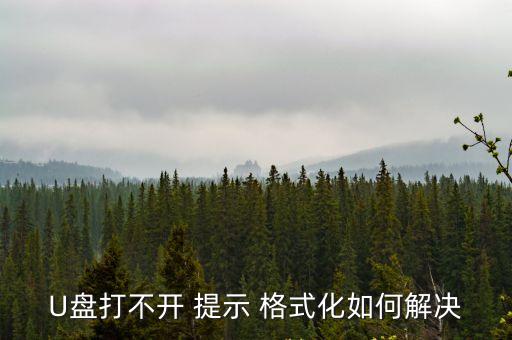 U盤打不開 提示 格式化如何解決