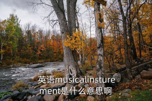  英語musicalinsturement是什么意思啊