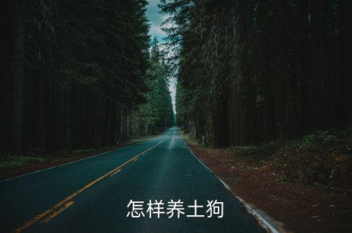 怎樣養(yǎng)土狗