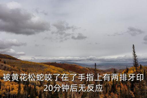 黃花松蛇，遼寧的黃花松蛇有毒嗎