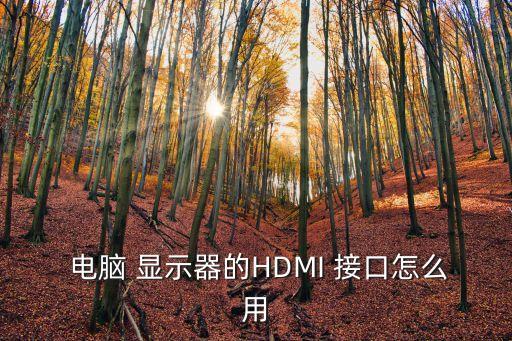電腦顯示器接口,電腦怎么用led顯示屏幕?