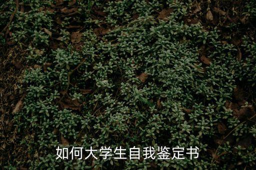 如何大學生自我鑒定書
