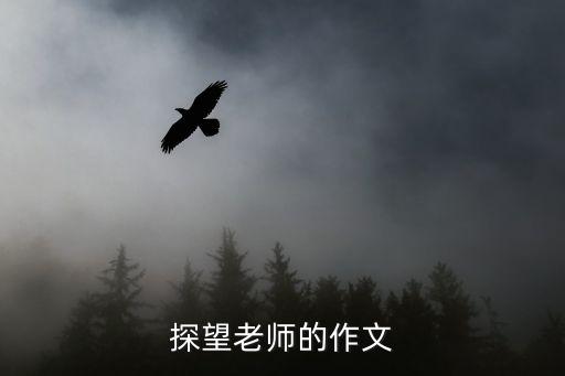 探望老師的作文