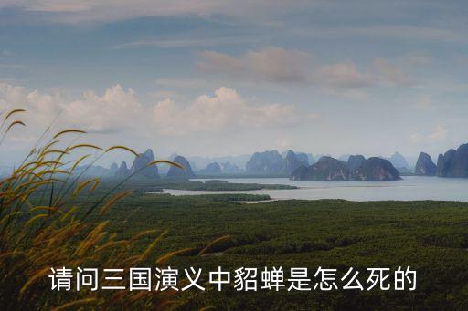 請問三國演義中貂蟬是怎么死的
