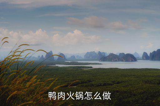 鴨肉火鍋怎么做