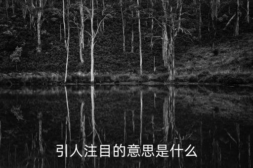 引人注目的意思是什么