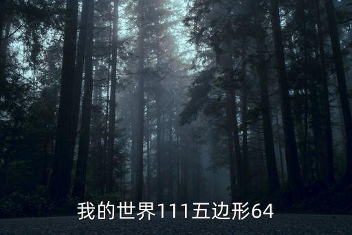 我的世界111五邊形64