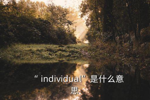 “ individual”是什么意思