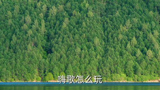 嗨歌怎么玩