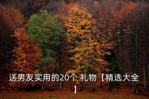 送給男朋友的禮物