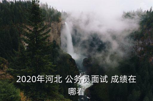 2020年河北 公務(wù)員面試 成績在哪看
