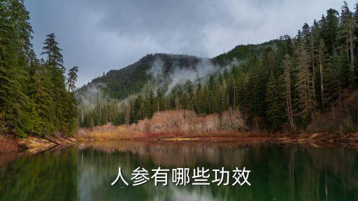  人參有哪些功效