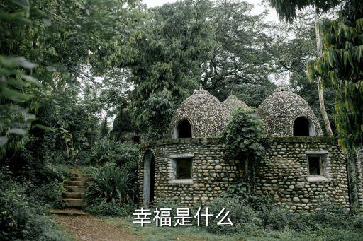  幸福是什么