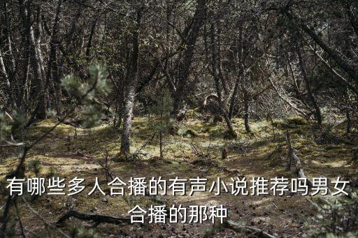 有哪些多人合播的有聲小說推薦嗎男女合播的那種
