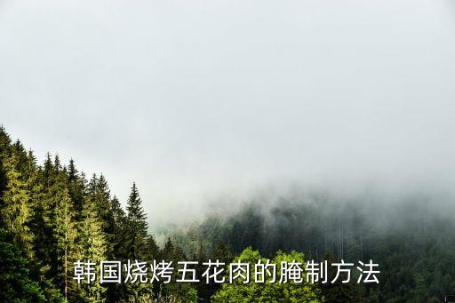 韓式烤肉醬,韓式燒烤不同于中國(guó)燒烤和巴西燒烤
